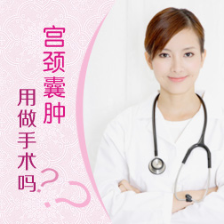 ������������������