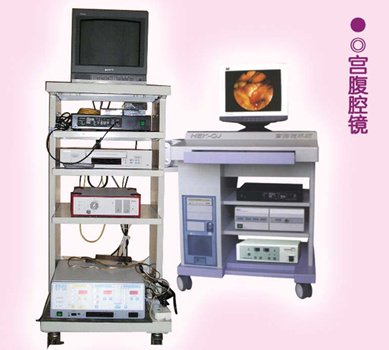  wolf����ǻ��