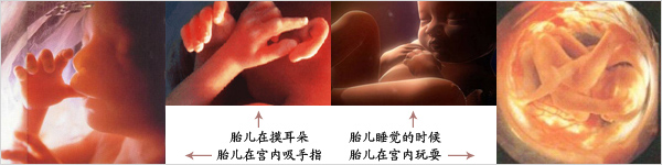 许昌玛丽医院四维彩超